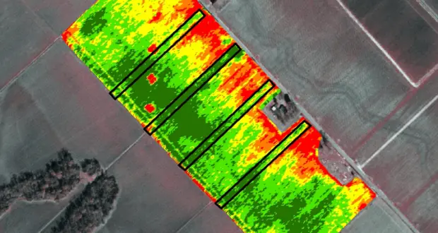 Monitoreo de cultivos, estimación de productos, mejoras en drenaje y Sistemas de Información Geográfica.